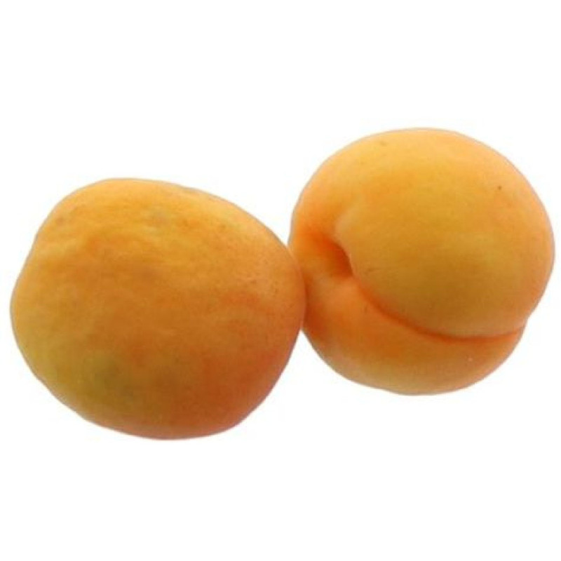 ABRICOT TSUNAMI . AA 5KG